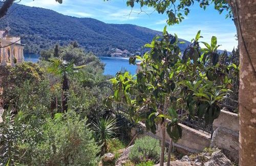 Grebastica Apartment | Apartments Nediljka