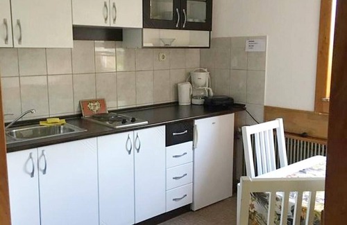 Poljanak Apartment | Apartments Predrag, (15951), Poljanak, Croatia