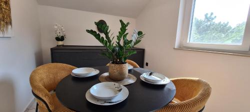 Cizici Apartment | Apartments Rajna