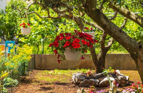 Cizici Apartment | Apartments Rose