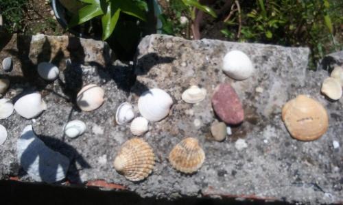 Brulo Apartment | Apartments Villa Anton