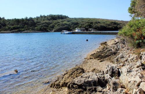 Punta Kriza Apartment | Apartments with parking space Punta kriza, Cres - 8082