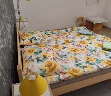 Ogulin Apartment | Apartments with parking space Hreljin Ogulinski, Gorski kotar - 24798