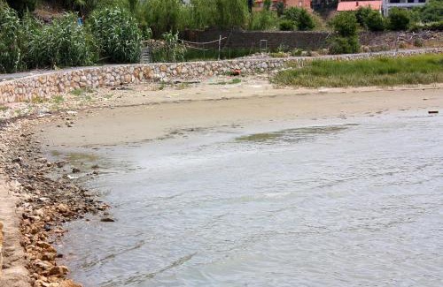 Suha Punta Apartment | Apartments with parking space Kampor, Rab - 4972