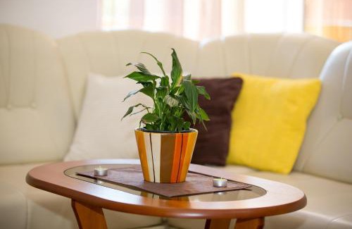 Lopar Apartment | Apartments with parking space Lopar, Rab - 23156