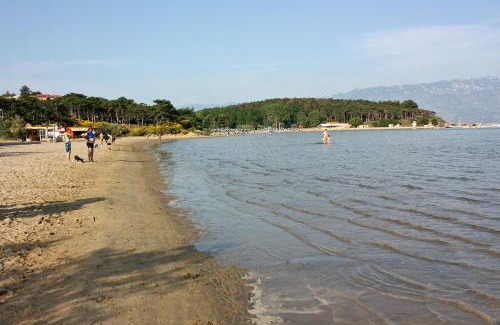 Lopar Apartment | Apartments with parking space Lopar, Rab - 23968