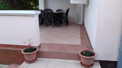 Lopar Apartment | Apartments with parking space Lopar, Rab - 23968