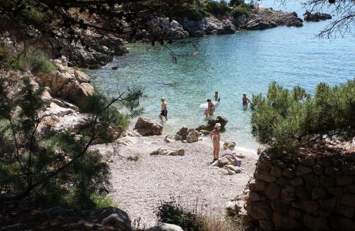 Suha Punta Apartment | Apartments with parking space Suha Punta, Rab - 17239