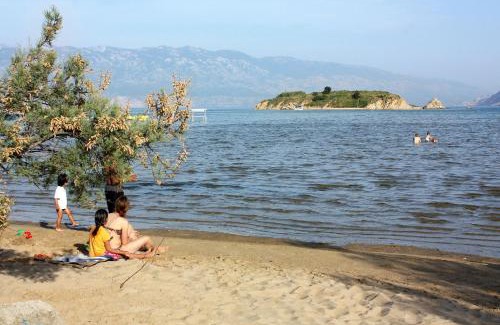 Lopar Apartment | Apartments with swimming pool Lopar, Rab - 22978