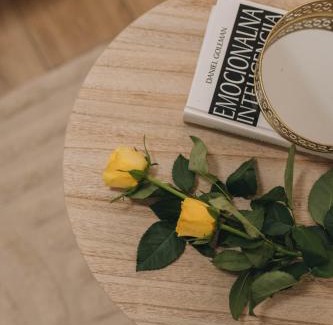 Porec Apartment | App Ana