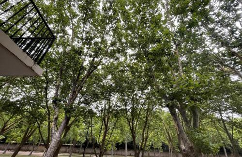 Chantiers Apartment | Appart 4 pers VERSAILLES PORCHE-FONTAINE