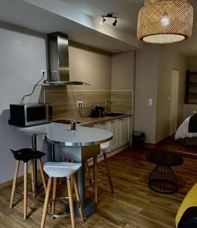 Vienne Apartment | Appart'Hôtel du Cloître