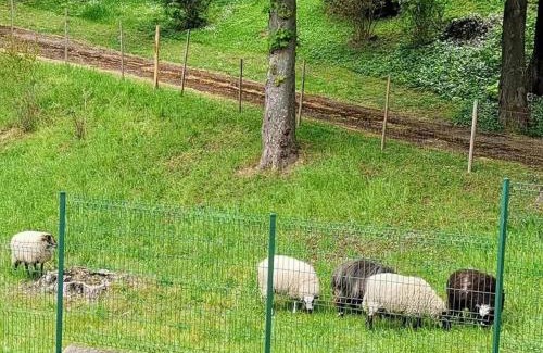Sevres Apartment | Appart luxueux 3+1 pcs avec jardin à 3 km de Paris