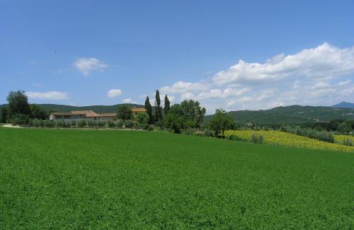 Motina House | Appartamenti con cucina nelle colline toscane