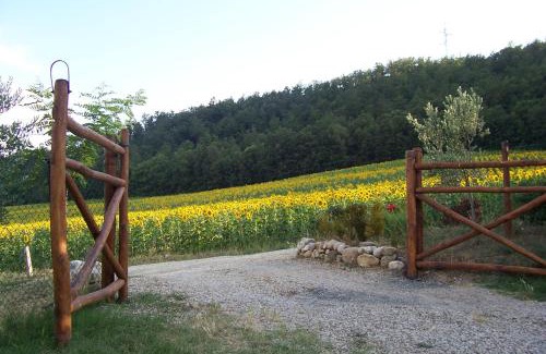 Motina House | Appartamenti con cucina nelle colline toscane