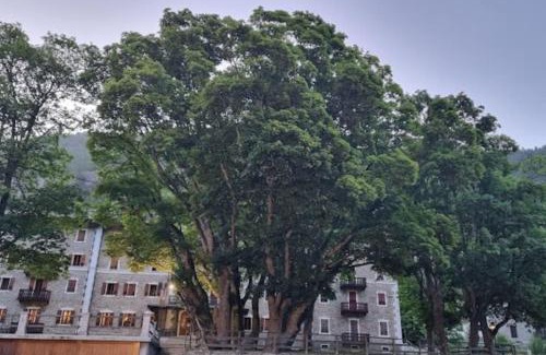 Prese-Montone Apartment | Appartamenti e camere del Re e della Regina - Grand Hotel Ceresole Reale