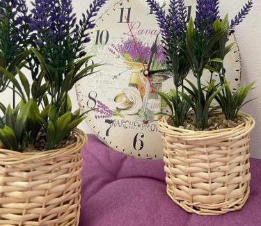 Taglio di Po Apartment | Appartamenti Nonna Rosa