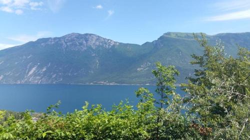 Limone sul Garda Bed & Breakfast | Appartamento BeB Preone CINIT089