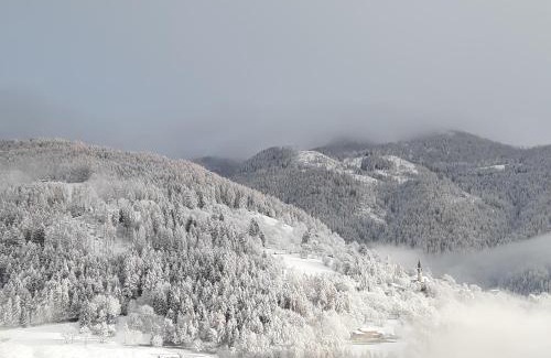 Sant'Orsola Terme Apartment | Appartamento con terrazza a Sant'Orsola Terme - val dei Mocheni - Trentino