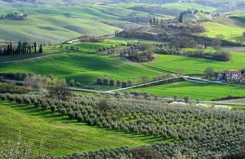 Rapolano Terme Apartment | Appartamento il castellare