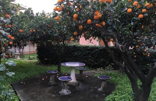 Diamante Apartment | Appartamento in Villa