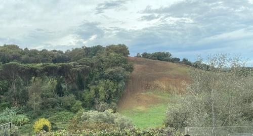 Zona LIII Tomba di Nerone Apartment | Appartamento nel verde fronte ospedale San Pietro, Sant'Andrea