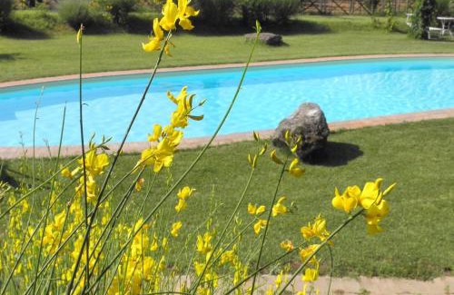 Monteleone d'Orvieto Apartment | Appartamento Pietra Viva, Wifi, Near Perugia