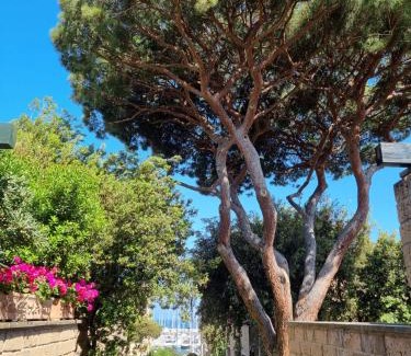 Punta Ala Apartment | Appartamento Punta Ala
