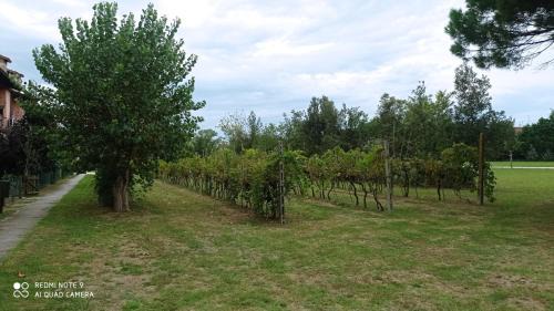 Lido di Pomposa Apartment | Appartamento Residence I Vigneti