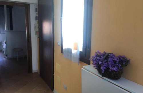 Saragozza-Porto Apartment | Appartamento Via Montenero