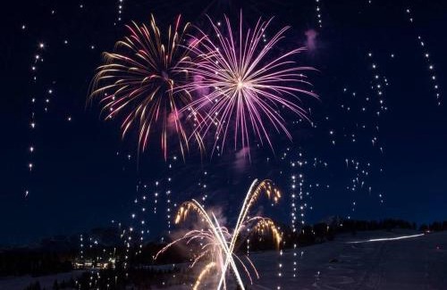 Notre-Dame-de-Bellecombe Apartment | Appartement cosy 6 personnes avec piscine et parking au centre du village - FR-1-505-96