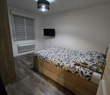 Illkirch-Graffenstaden Apartment | Appartement parking gratuit
