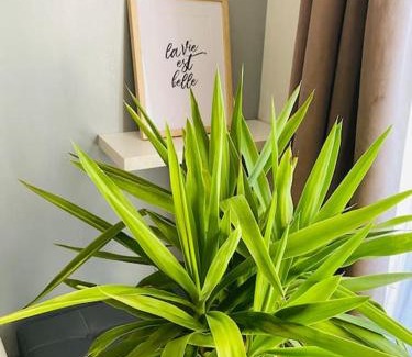 Mantes-la-Ville Apartment | Appartement 2 chambres