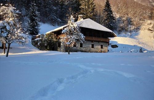 Montriond Ski Chalet | APPARTEMENT-3-CHAMBRES-8-COUCHAGES-WIFI-MONTRIOND-CHEBOURINS