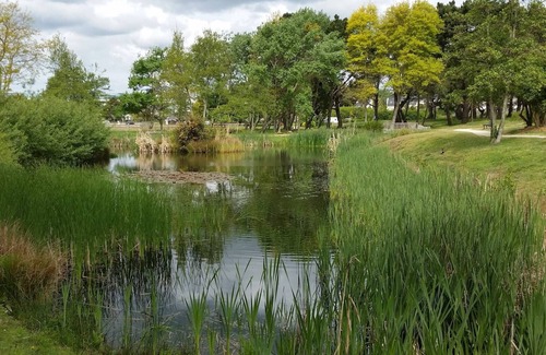 Arzon Apartment | Appartement 3 Pièces aux Terrasses de Kerjouanno à Louer Pour les Vacances