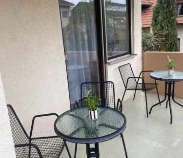 Bad Bellingen Apartment | Appartement Au Rhin mit Balkon in Bad Bellingen