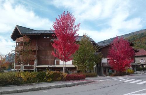 Samoens Apartment | Appartement charmant et central à Samoëns, proche commerces et ski-bus - FR-1-624-54