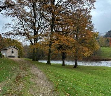 Saint-Nabord Apartment | Appartement cosy avec vue sur les montagnes