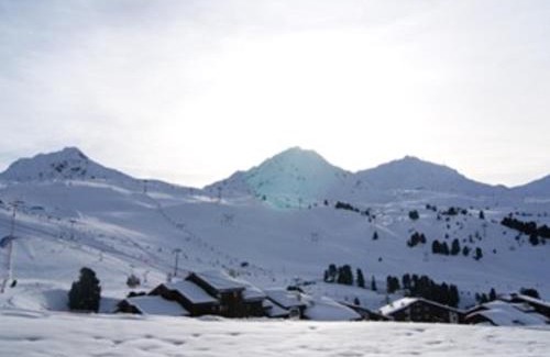 Belle Plagne Apartment | Appartement cosy avec accès direct aux pistes, animaux acceptés - Belle Plagne - FR-1-181-982