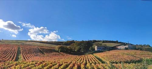 Jullie Apartment | Appartement cosy et rénové au cœur des vignes du Beaujolais