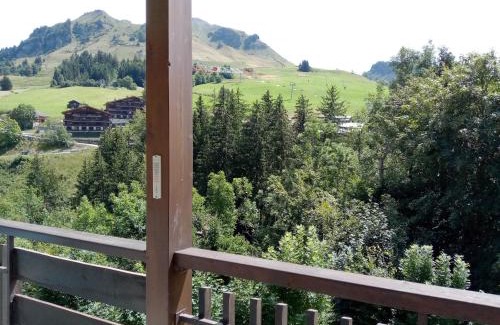 Le Chinaillon Apartment | Appartement cosy au Chinaillon, proche commerces et pistes, 4 pers, animaux admis. - FR-1-467-69