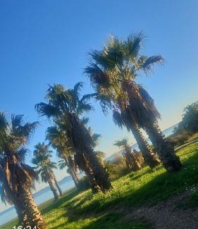 Hyeres Hotel | Appartement cosy jacuzzi