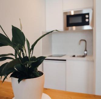 Plantieres Queuleu Apartment | Appartement cosy proche centre