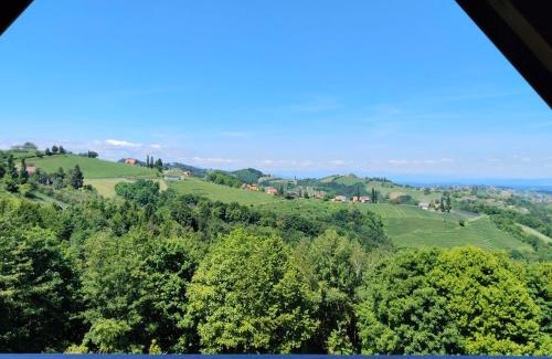 Kitzeck im Sausal Apartment | Appartement Fernblick