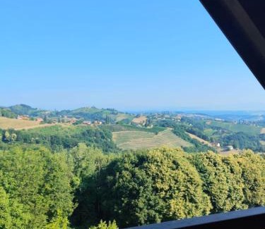 Kitzeck im Sausal Apartment | Appartement Fernblick