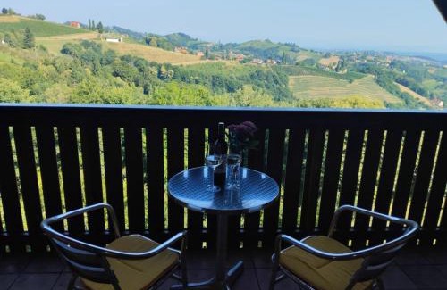 Kitzeck im Sausal Apartment | Appartement Fernblick