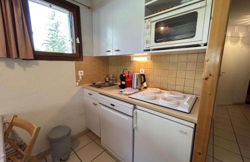 Monetier-les-Bains Apartment | Appartement lumineux 2 pièces cabine au Monêtier-les-Bains, proche pistes, avec parking - FR-1-330F-239