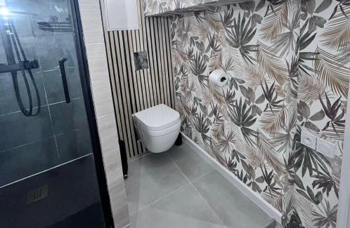 Anatole France Danton Apartment | Appartement hyper centre - Coty