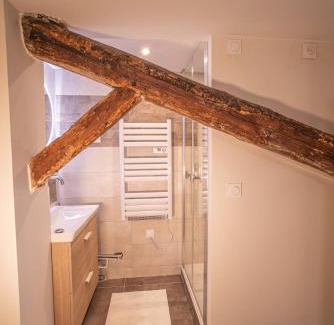 Saint-Roch - Badouillere - Chavanelle Apartment | Appartement - Le Mikado - Hyper-centre - Wi-Fi- Espace de travail - Confort