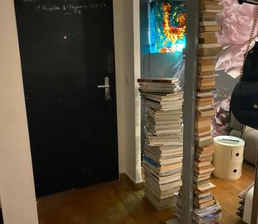 Saint-Giniez Apartment | Appartement mini loft 54m2- 200m STADE VELODROME-trés proche PALAIS DES SPORTS et PLAGES du Prado